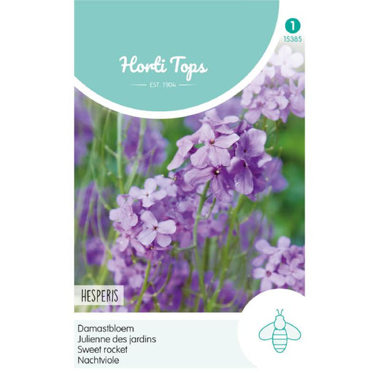 Horti Tops Sweet Rocket 15385