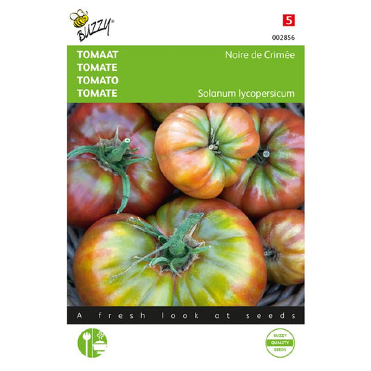 Buzzy Tomato Noire de Crimee  002856