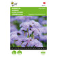 Buzzy Ageratum, Liver Balm Blue Mink 004010