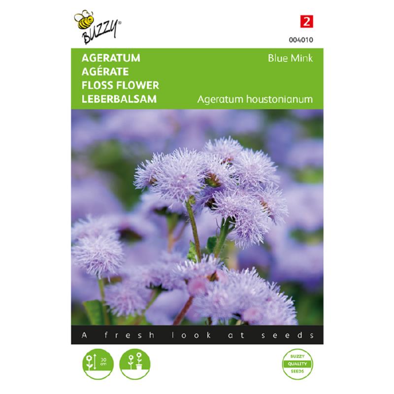 Buzzy Ageratum, Liver Balm Blue Mink 004010