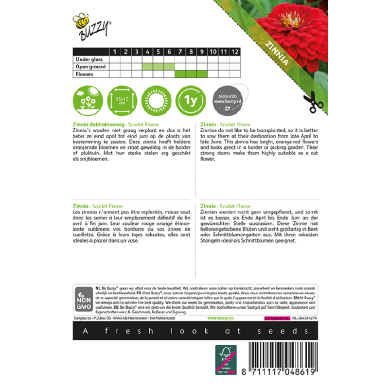 Buzzy Zinnia Scarlet Flame 004861