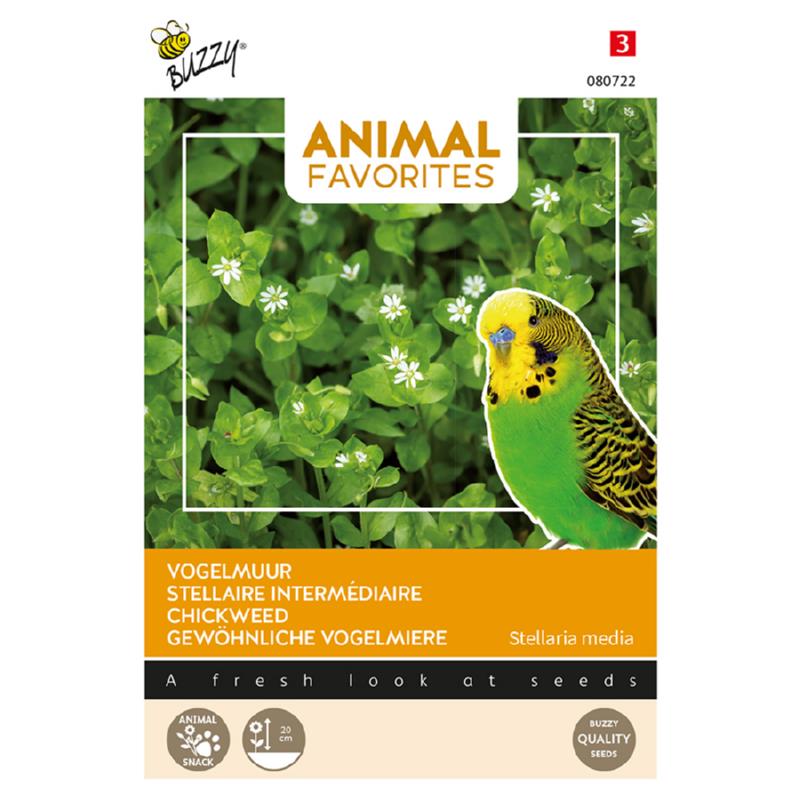 Buzzy Animal Favorites Chickweed, ornamental birds and chickens 080722