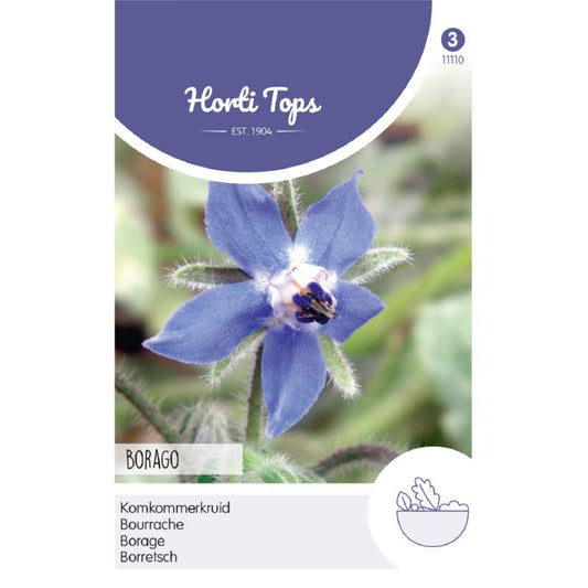 HT Cucumber Herb (Borage) 11110