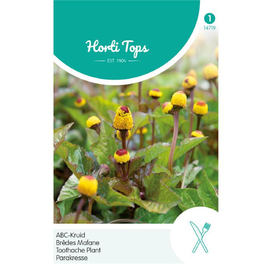 HT Toothache Spilanthes, ABC Herb 14719