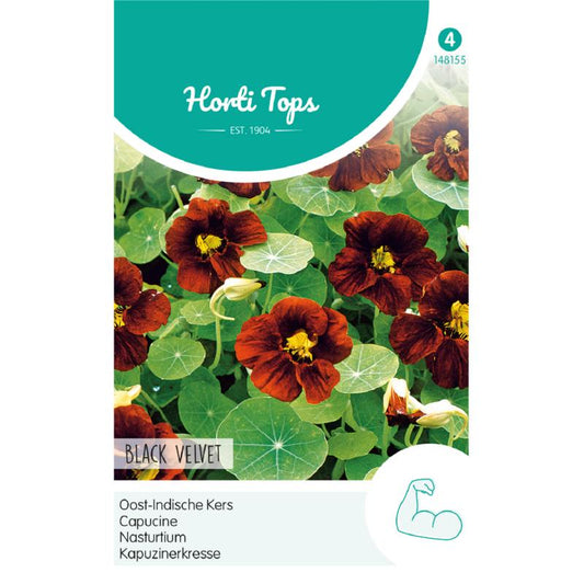 HT Tropaeolum, Nasturtium Black Velvet 148155