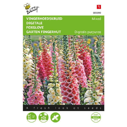 Foxglove mixed 005090