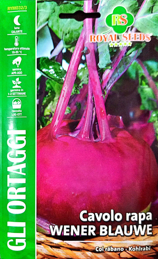 Royal Kohlrabi Wener Blauwe 32/3