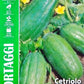 Royal Cetriolo Carosello Cucumber Melon