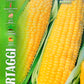 Royal Mais Zuccherino Sweet Corn