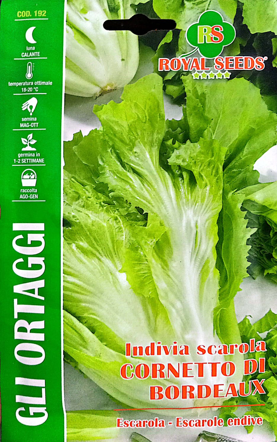 Royal Lettuce Cornetto Di Bordeaux 192 – KBSeeds Store