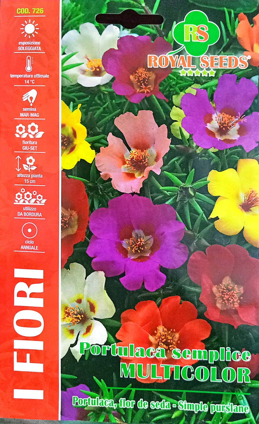 Royal Portulaca Simple Multicolor 726