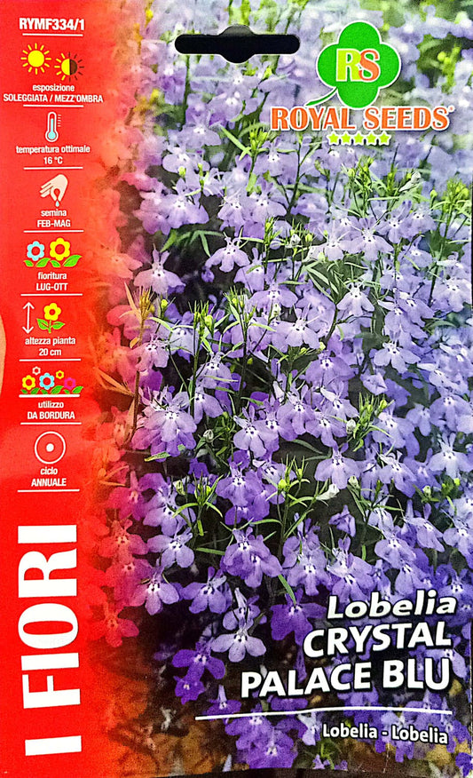 Royal Lobelia RYMF334/1