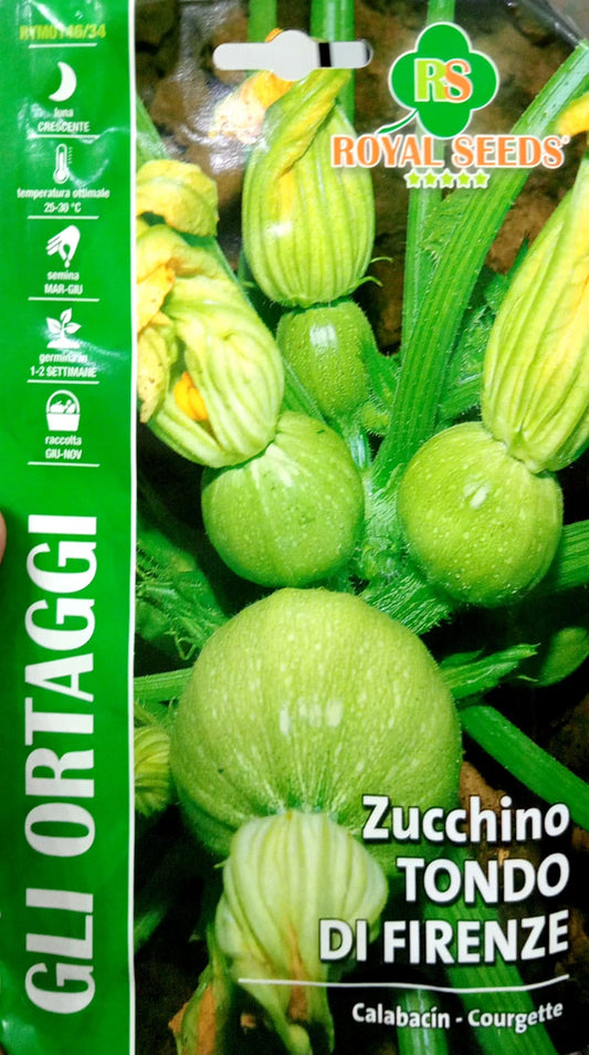 Royal Zucchino Tondo Di Firenze 146/34