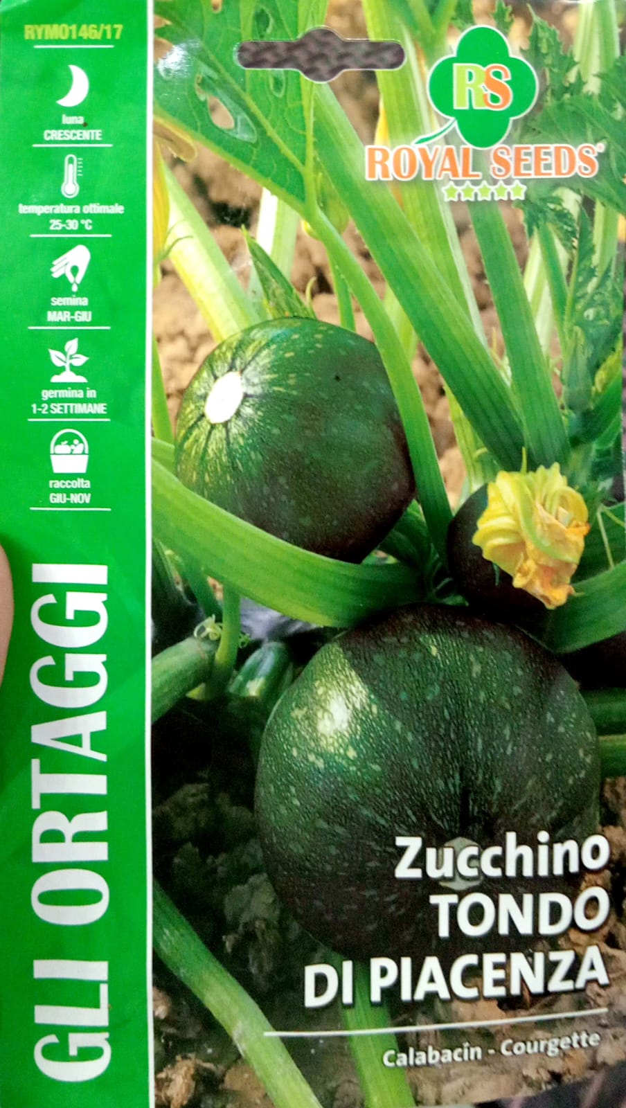 Royal Zucchoni Tondo Di Piacenza 146/17