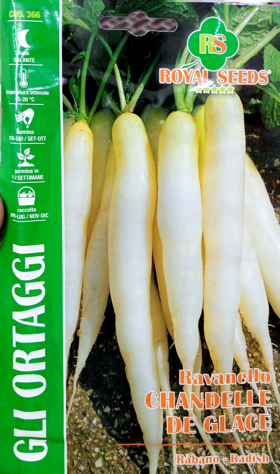 Royal Radish Chandelle De Glace 366