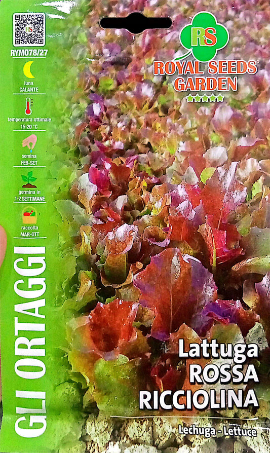 ROYAL ROSSA LETTUCE RICCIOLINA 078/27