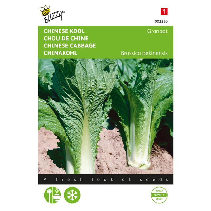 Buzzy Chinese Cabbage 002260