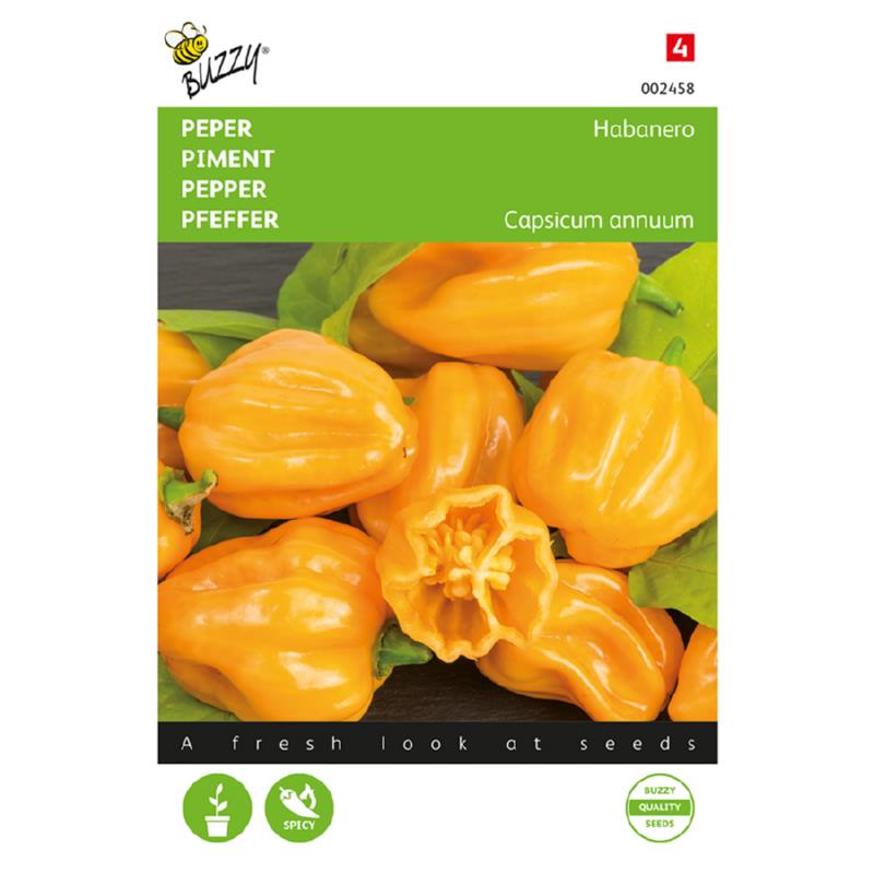 Buzzy Capsicum 002458