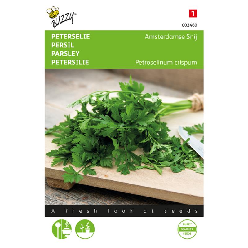 Buzzy Parsley 002460