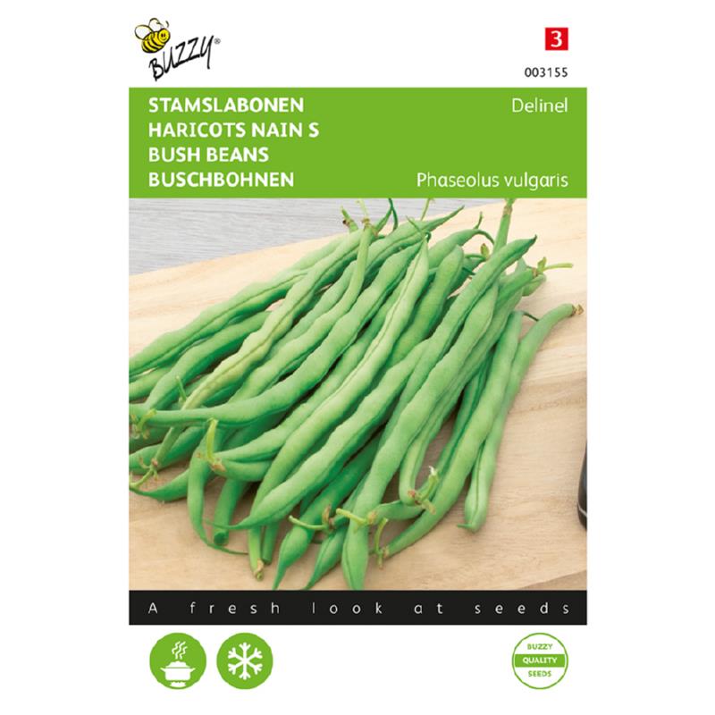 Bush Bean 003155