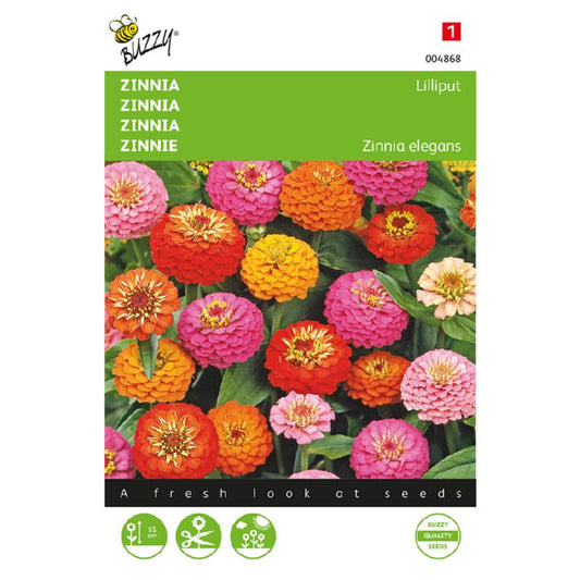 Buzzy Zinnia Lilliput 004868