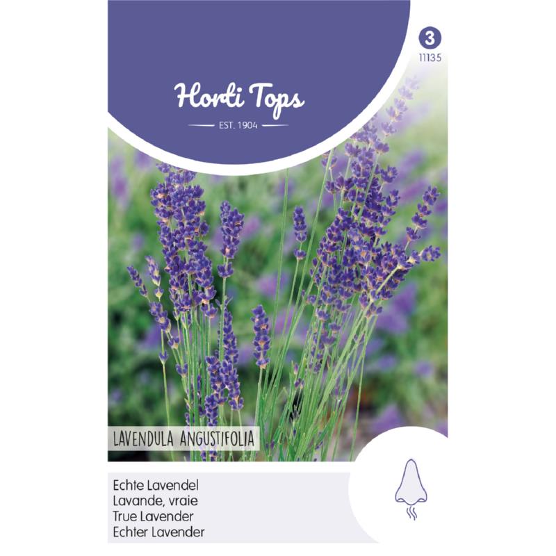 Horti Tops Lavander 11135