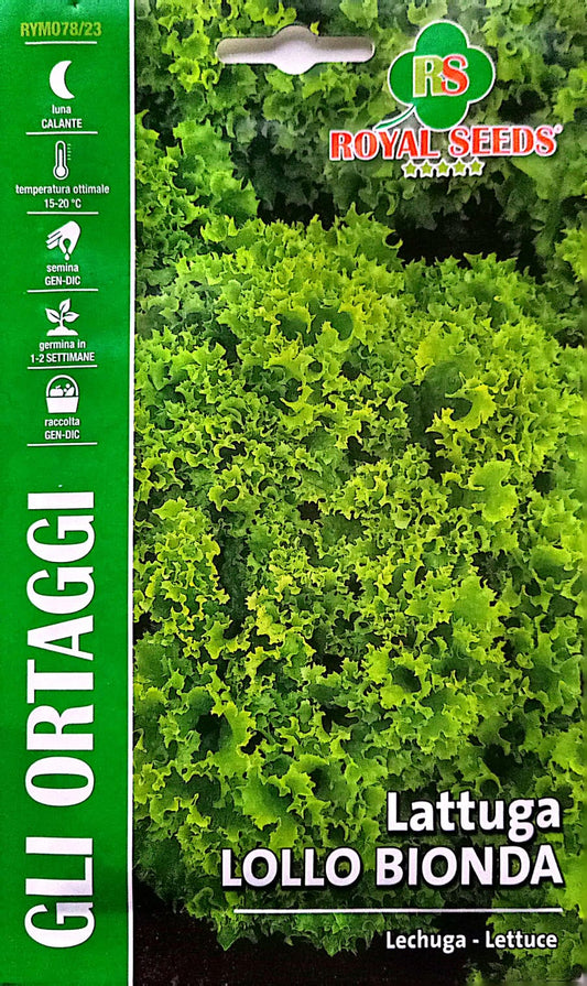 Royal Lettuce Lollo Bionda 78/23