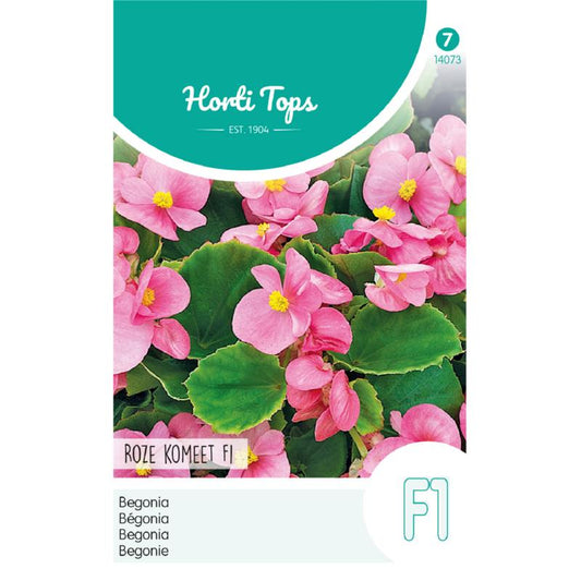 Horti Tops Begonia F1 14073