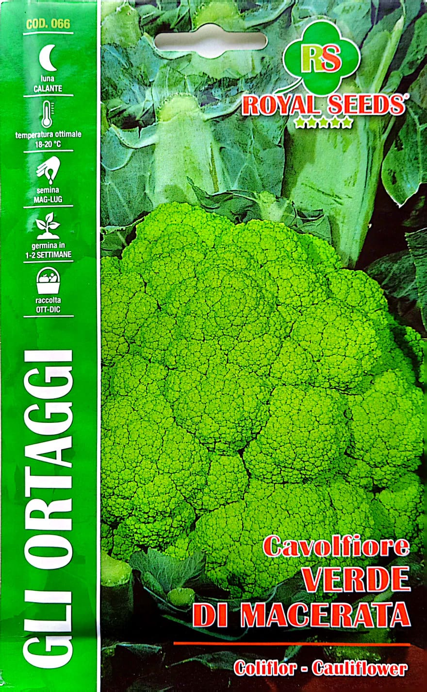 Royal Cauliflower Green 066