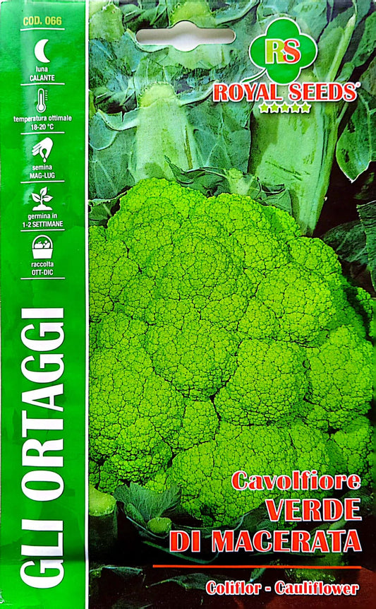 Royal Cauliflower Green 066