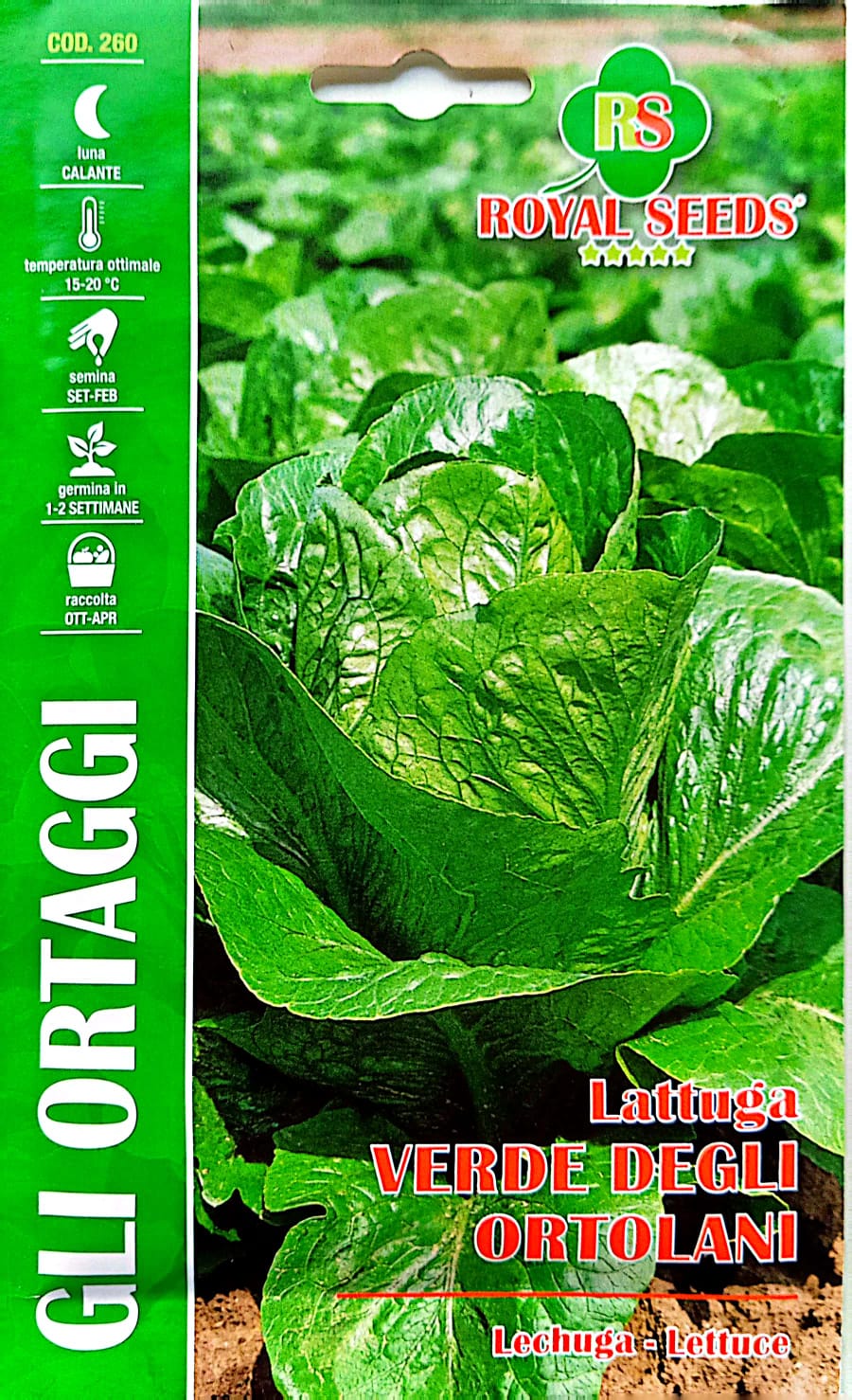 Royal Lettuce Verde Degli Ortolani 260 – KBSeeds Store