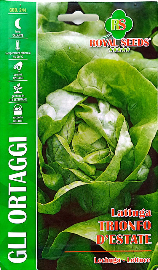 Royal Lettuce