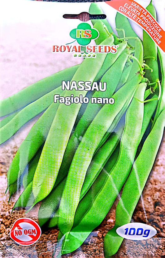 Royal Dwarf Beans-Nassau