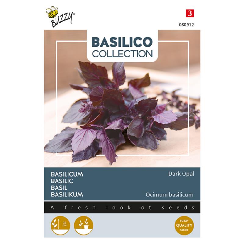 Buzzy Basil Dark Opal 080912