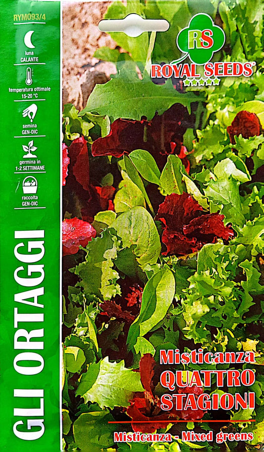 Royal Lettuce Quattro Stagioni 93/4