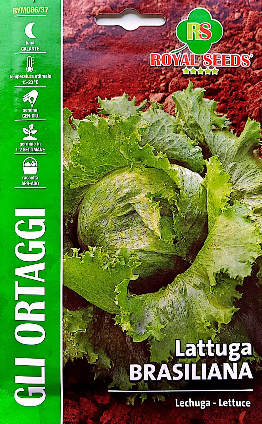 Royal Lettuce Brasiliana 86/37