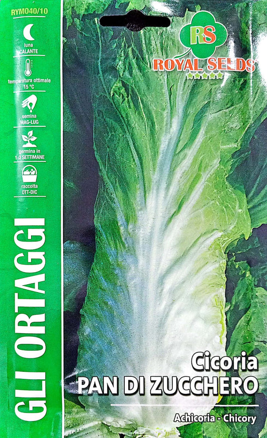 ROYAL CHICORY Pan Di Zucchero 40/10