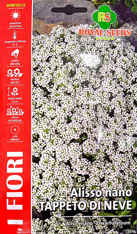 ROYAL ALYSSUM 301/2