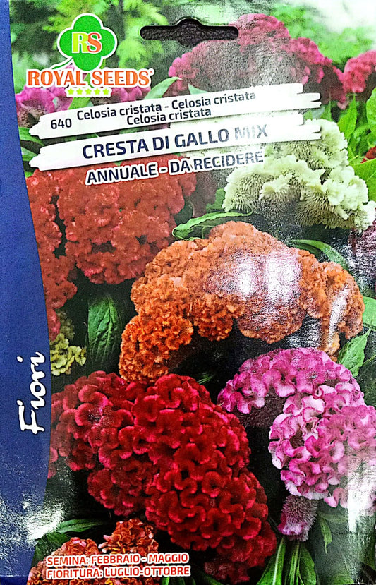 ROYAL CELOSIA CRISTATA 640