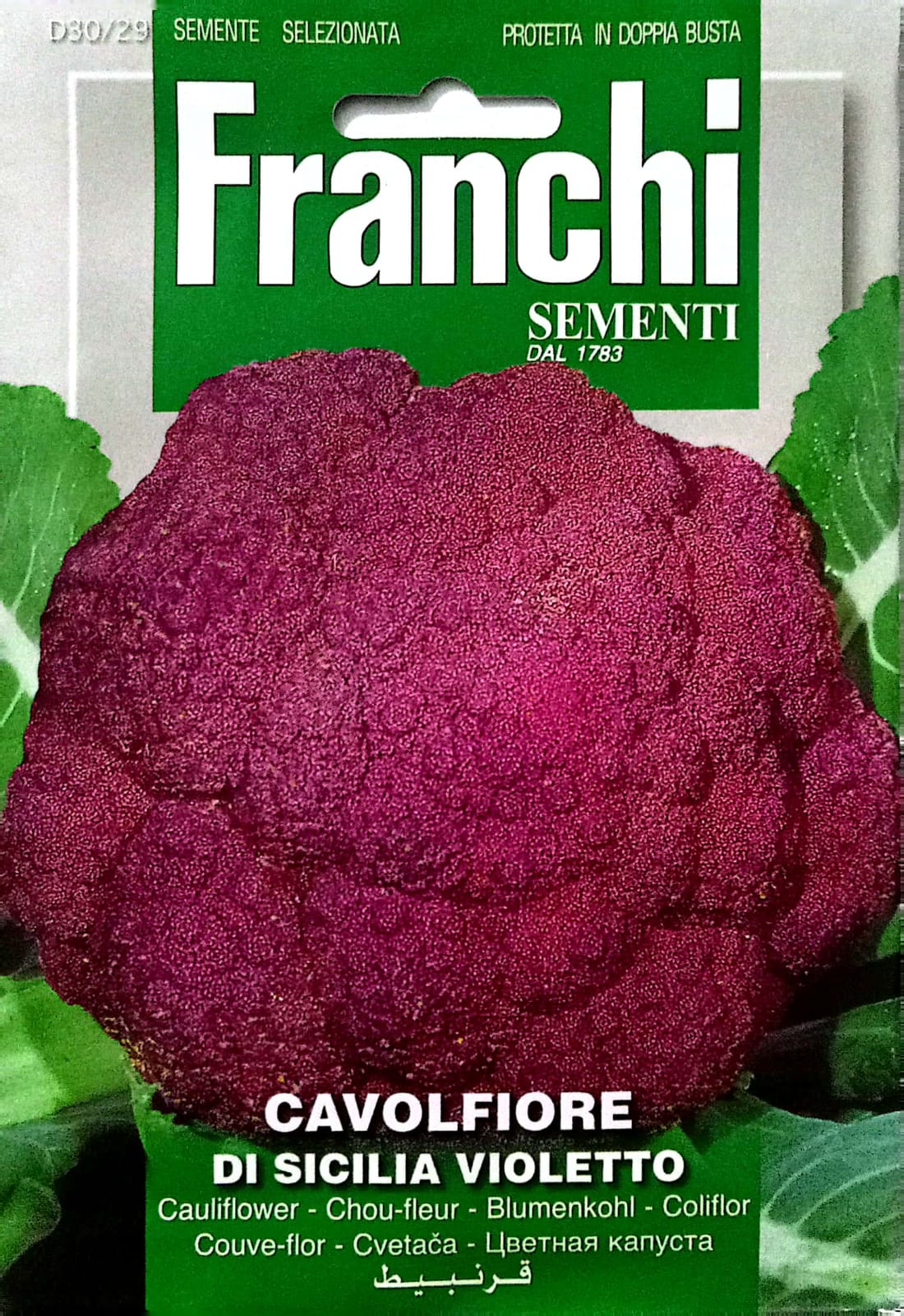 Franchi Cauliflower Purple D30/29