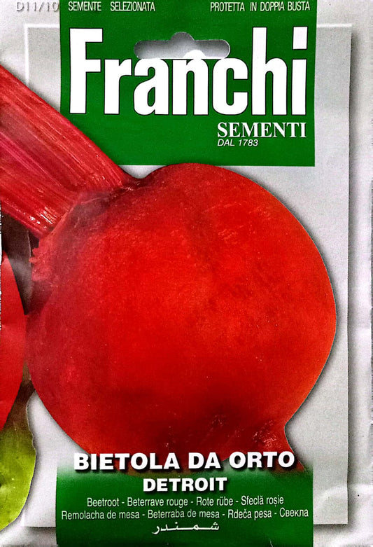 Franchi Beetroot D11/10