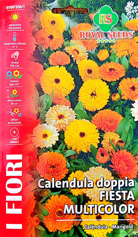 Royal Calendula Marigold RYMF309/1