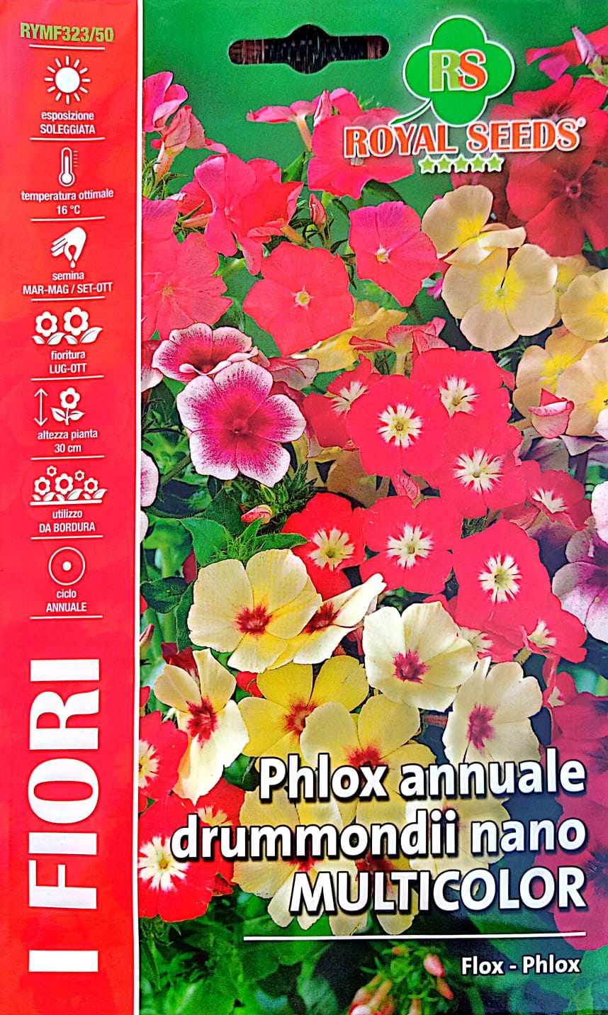 Royal Phlox RYMF323/50