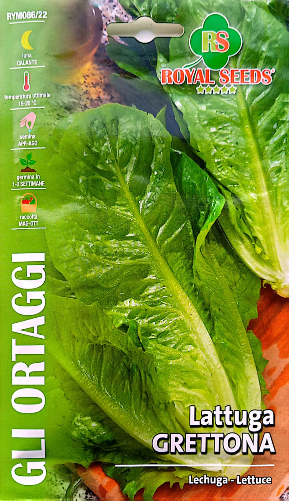 Royal Lettuce Greattona 86/22 – KBSeeds Store