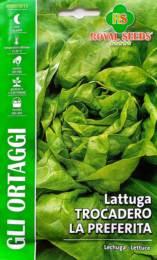 Royal Lettuce Trocadero La Preferita 79/12