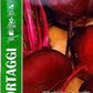 Royal Beetroot Egitto Migliorata 011/2