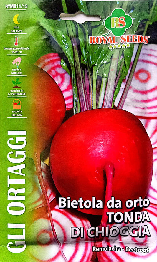 Royal Beetroot Tonda Di Chioggia 11/13