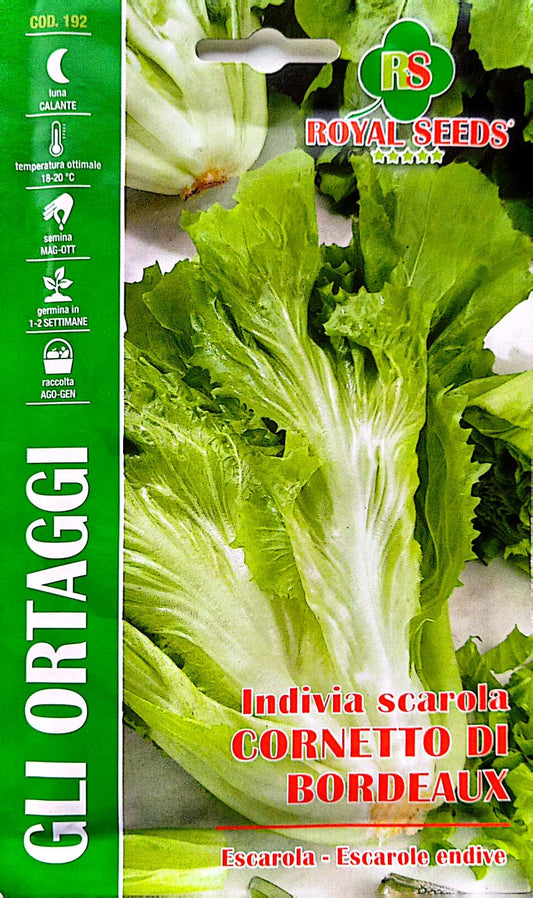 Royal Escarole Endive