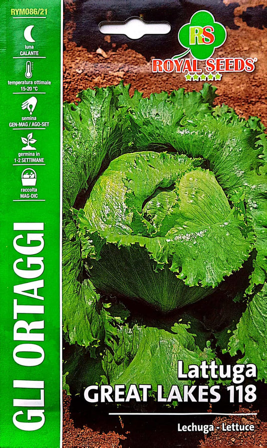 Royal Lettuce Ice Berg 86/21