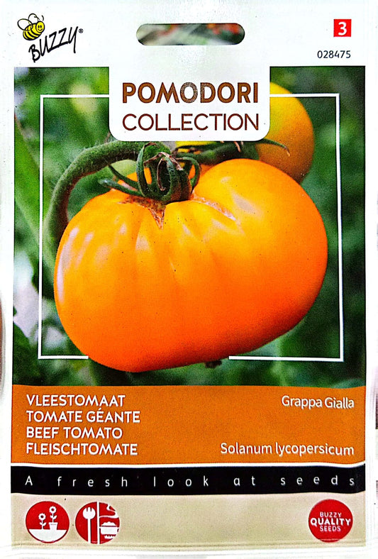 Buzzy Pomodori, Beef Tomato Brandywine Yellow 028475